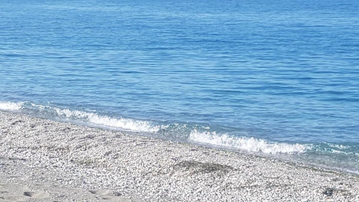 To Giouli Hotel Volos Ngoại thất bức ảnh