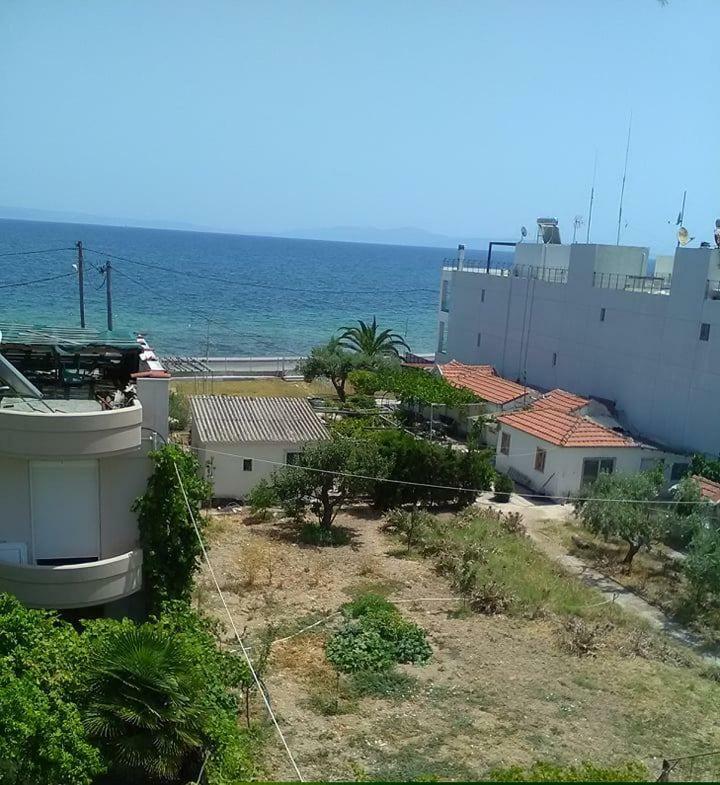 To Giouli Hotel Volos Ngoại thất bức ảnh